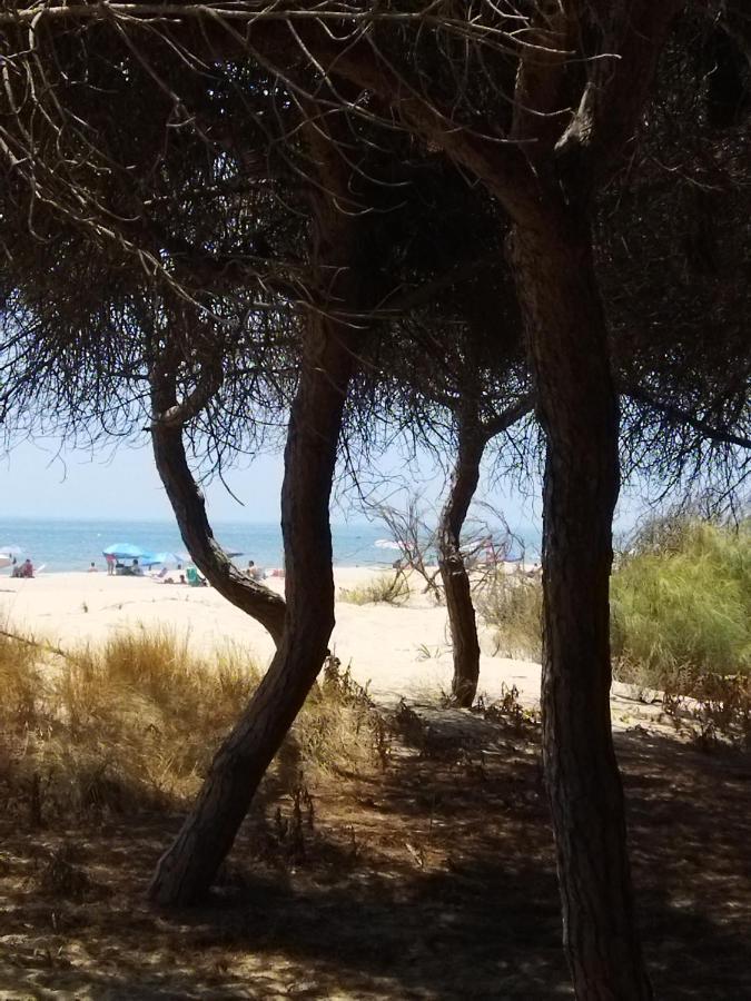 הוילה איסלה כריסטינה Sol Y Mar מראה חיצוני תמונה